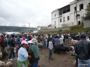 The animal market.