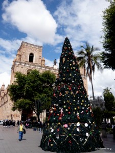 Christmas tree in Cuenca.