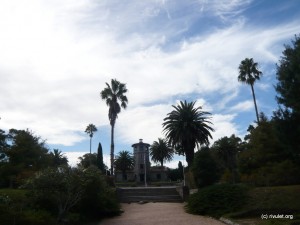 Parque Santa Teresa. A lot of palms.