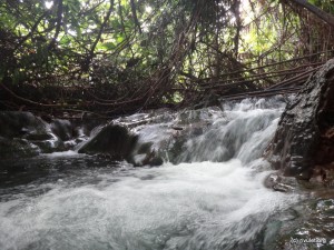 The Hot Spring Waterfall.