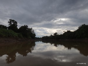 Kinabatangan river.