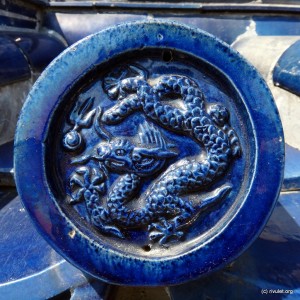 Blue dragon.