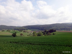 Rolling hills of the Odenwald.
