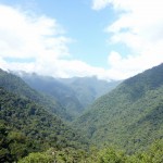 Ciudad Perdida: Surrounded by the rain forest...