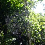 Ciudad Perdida: Inhabitants today.