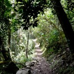 The hike through the cloud forest.