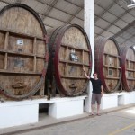 Old wine barrels.