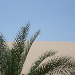 Palms and sand.