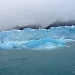 Icebergs in front of the glacier.