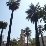 Santiago. Palms in the city center.