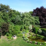 View from the balcony in the garden.