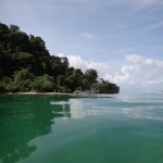 Having a swim in turquoise water.