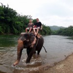 Elephant Camp: Riding an elephant.