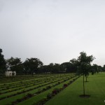 One of the many war cemeteries.