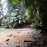 The lagoon. Muddy water...