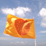 The Dharmacakra flag, symbol of Buddhism in Thailand.