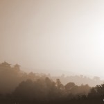Morning mist around Kopan Monastery.